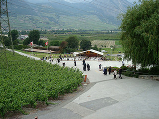 image preview