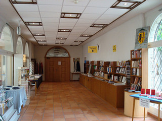 image preview