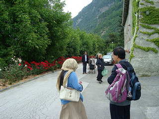 image preview