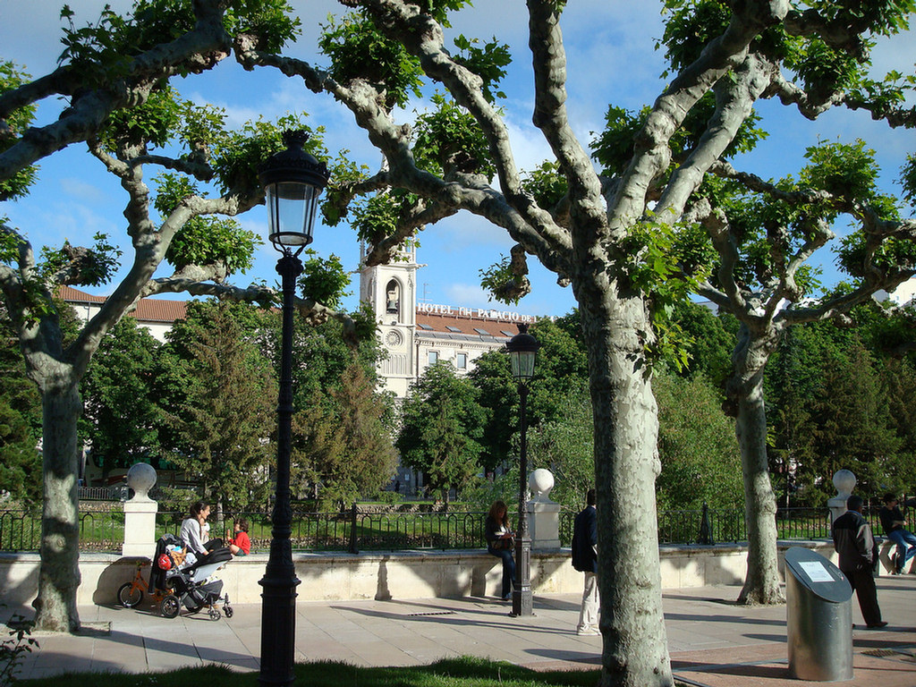 Burgos Group 2