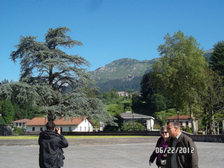 image preview