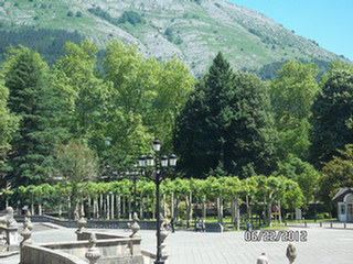 image preview