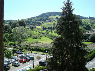 image preview