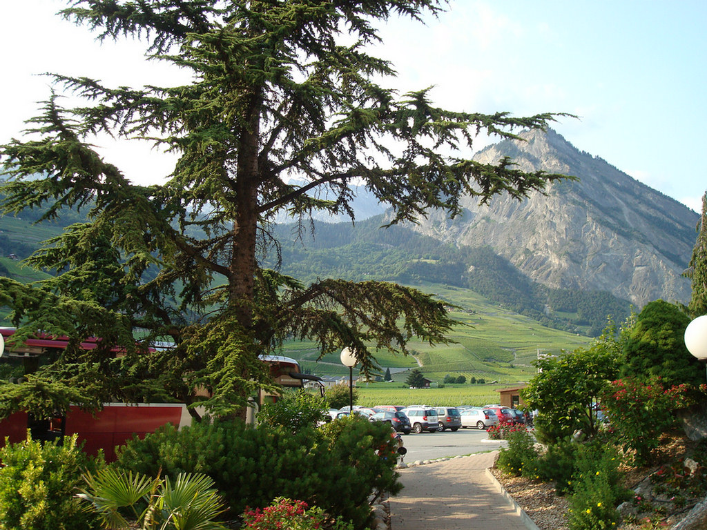 Saillon, Switzerland, Group 2